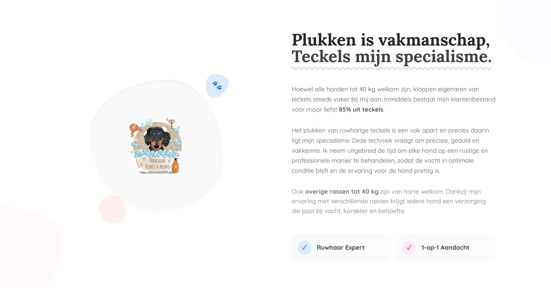 Specialisatie in ruwharige teckels op de website van Teckels & Friends
