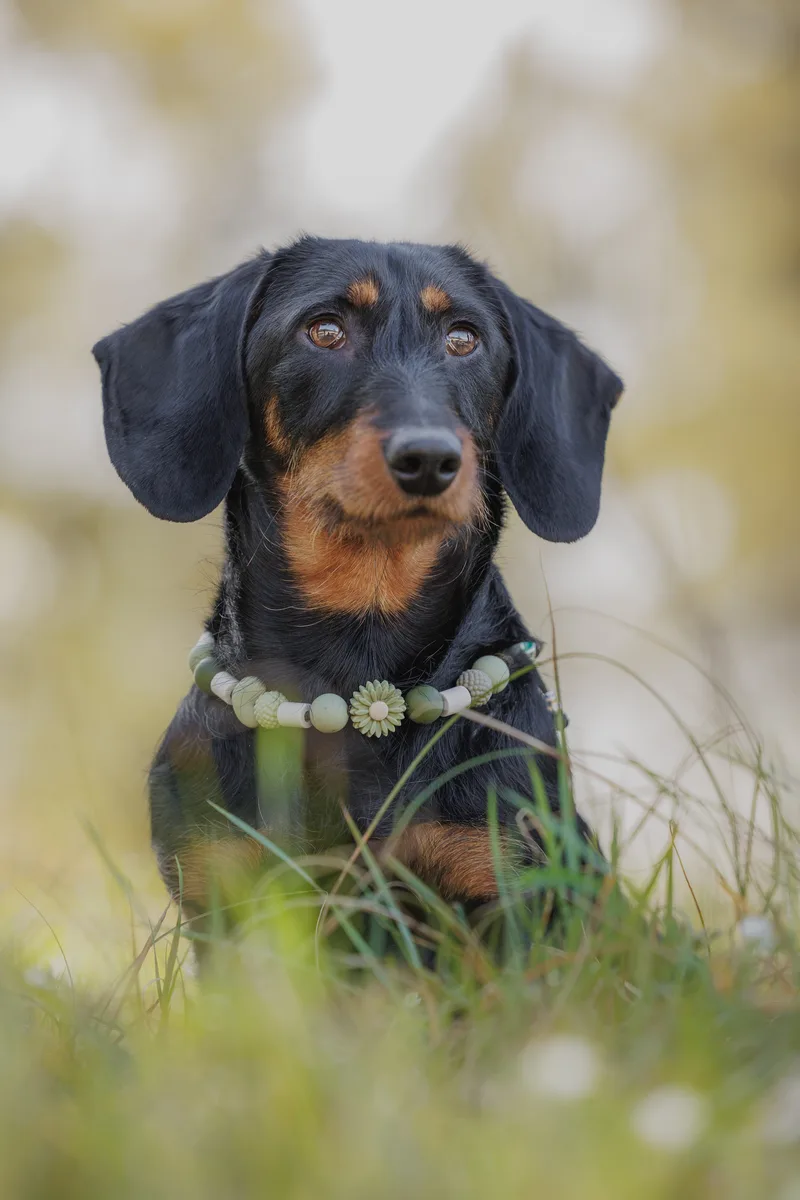 Meadow Bloom Kralenketting